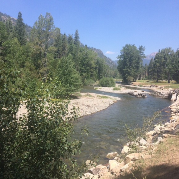 Meet your Posher, LilGreenCloset - Picture 2 of 2